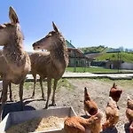Na Farme Farm stay *