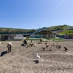Farm stay Na Farme Kurdejov