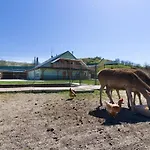 Farm stay Na Farme Kurdejov