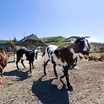 Farm stay Na Farme *