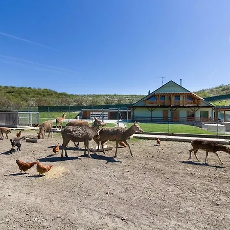 Na Farme Farm stay Kurdejov