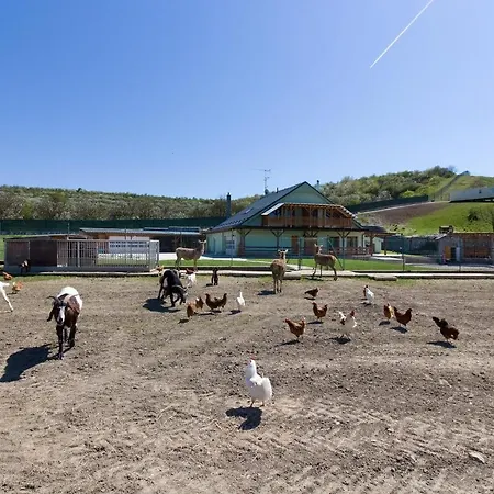 Farm stay Na Farme Kurdejov