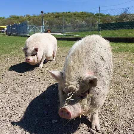 Na Farme Feriegård Kurdějov