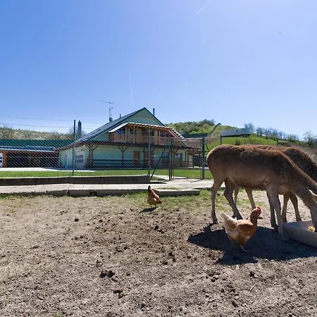 Farm stay Na Farme Kurdejov