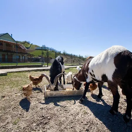 Na Farme * Kurdějov
