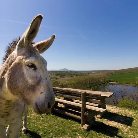 Na Farmě