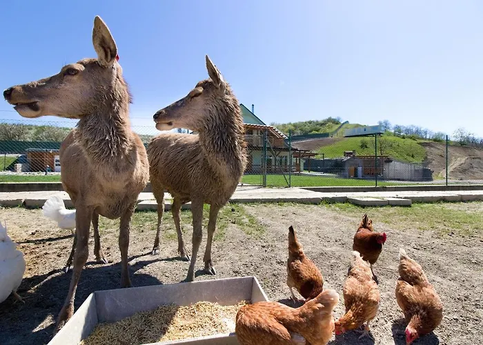 Na Farmě Alloggio per agriturismo *