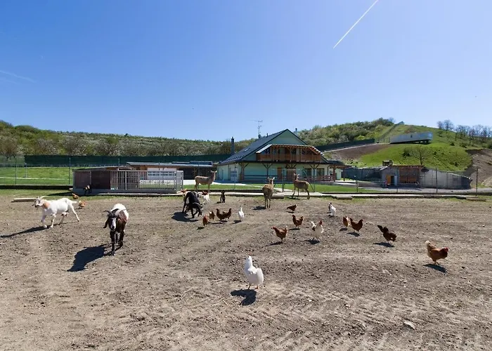 Alloggio per agriturismo Na Farmě Kurdějov
