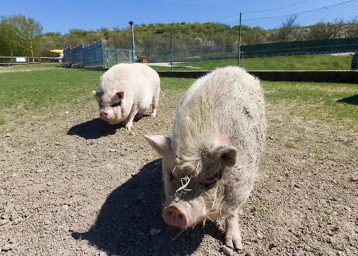 Na Farmě Alloggio per agriturismo Kurdějov
