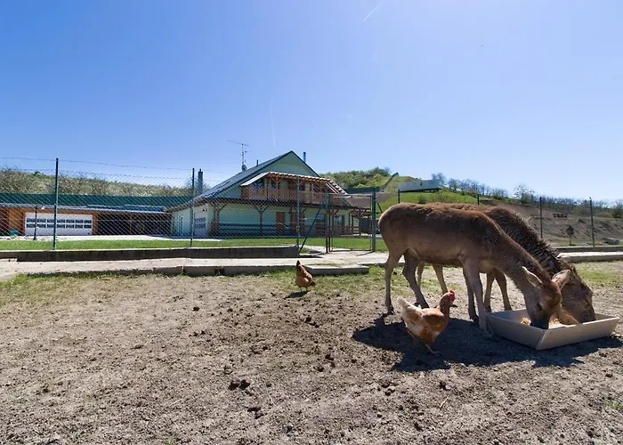 Alloggio per agriturismo Na Farmě Kurdějov