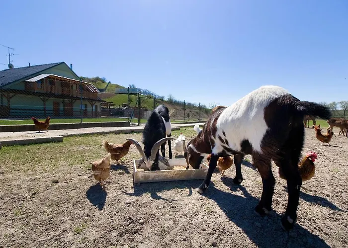 Na Farme * Kurdějov